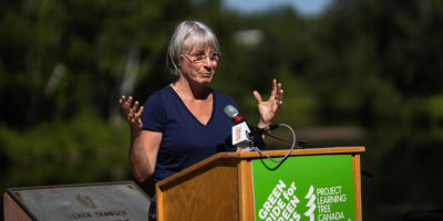 patty hajdu