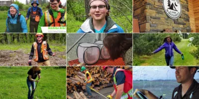 tiled video thumbnails