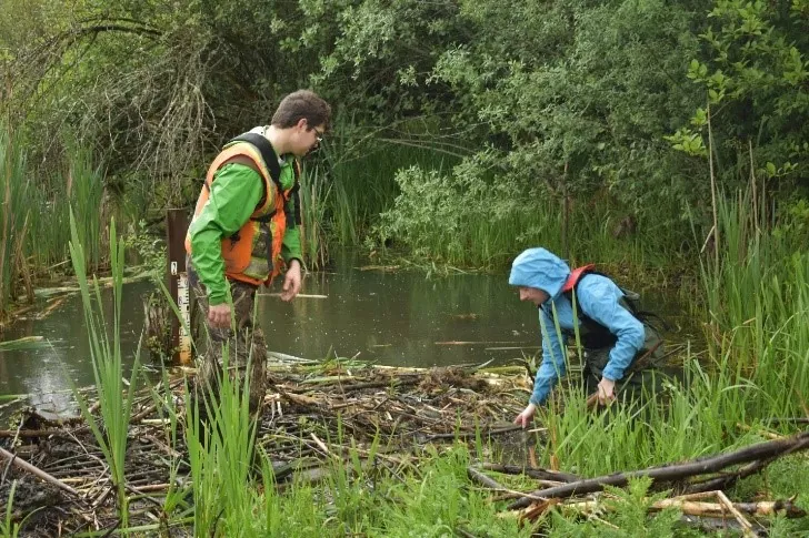 Two individuals wearing waterproof gear, standing in a swamp