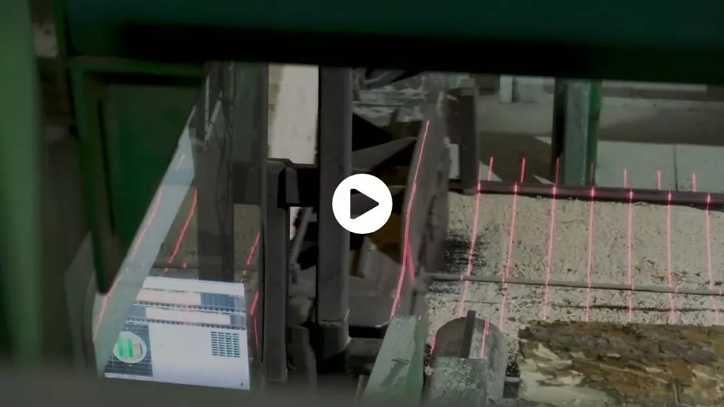 Vidéo de production forestière