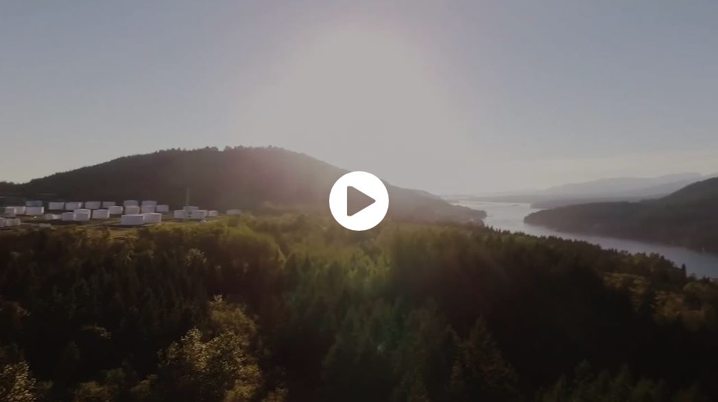 Sustainable forestry video