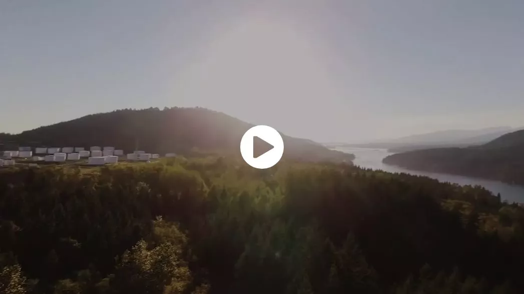 Vidéo de foresterie durable