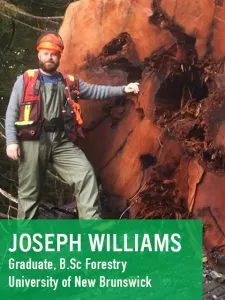 Jeune homme se tient à côté d'un énorme arbre abattu