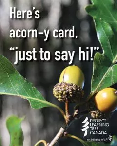 acorns on a tree and text that reads "Here's a corny card, just to say hi"