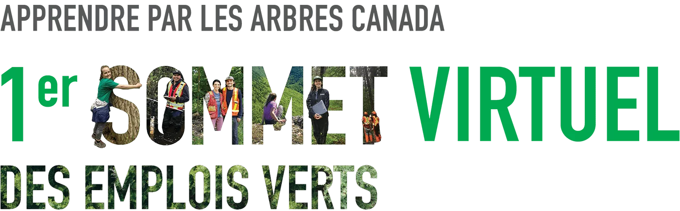 graphique promotionnel