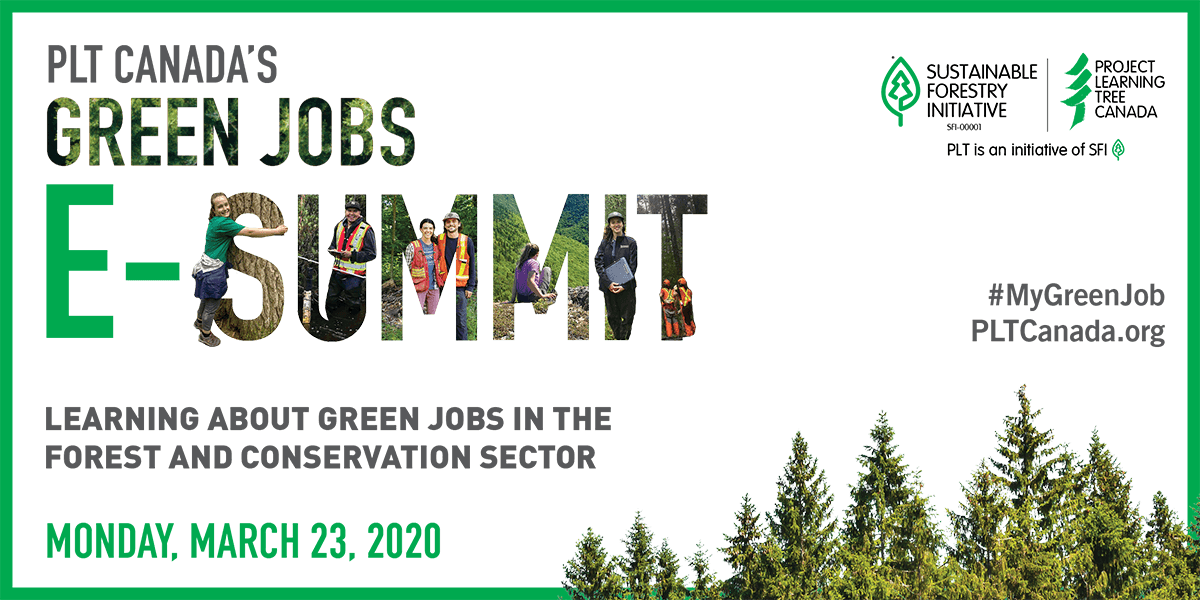 e-summit promo graphic