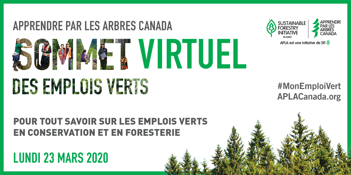 graphique promotionnel