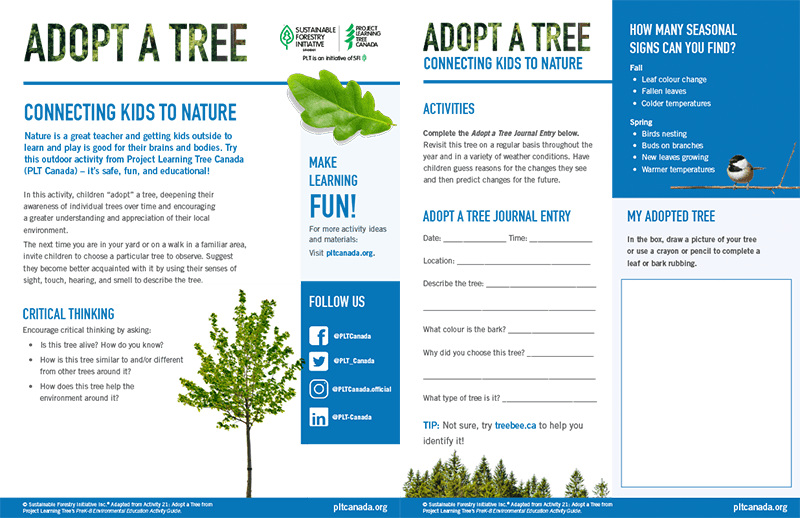 screen shot of adopt a tree education worksheet