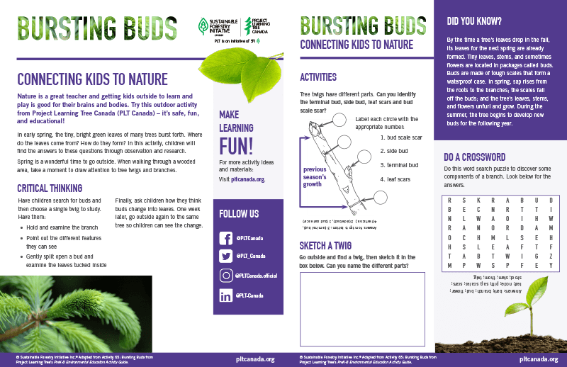 screenshot of bursting buds work sheet