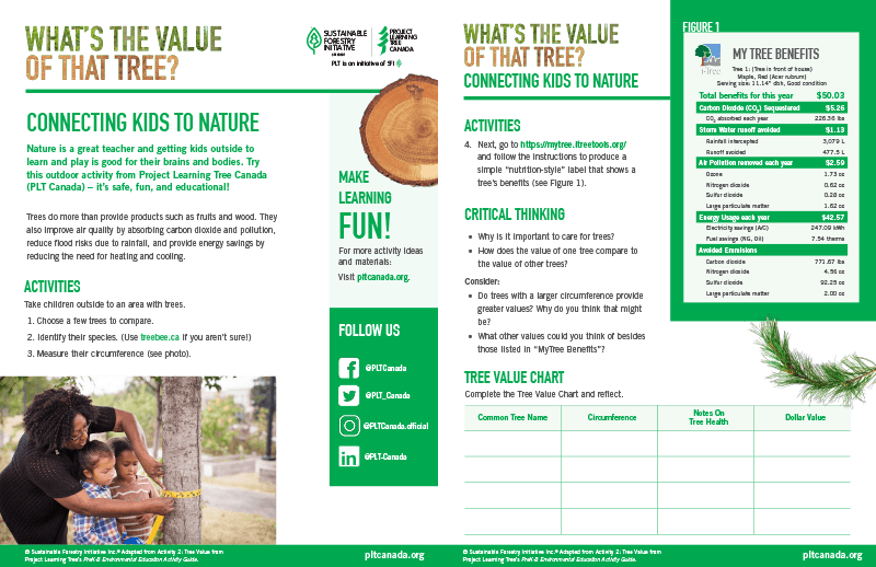 screenshot of value of a tree worksheet