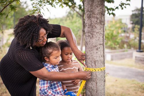 An adult woman measures the circumference of a tree with two young children.