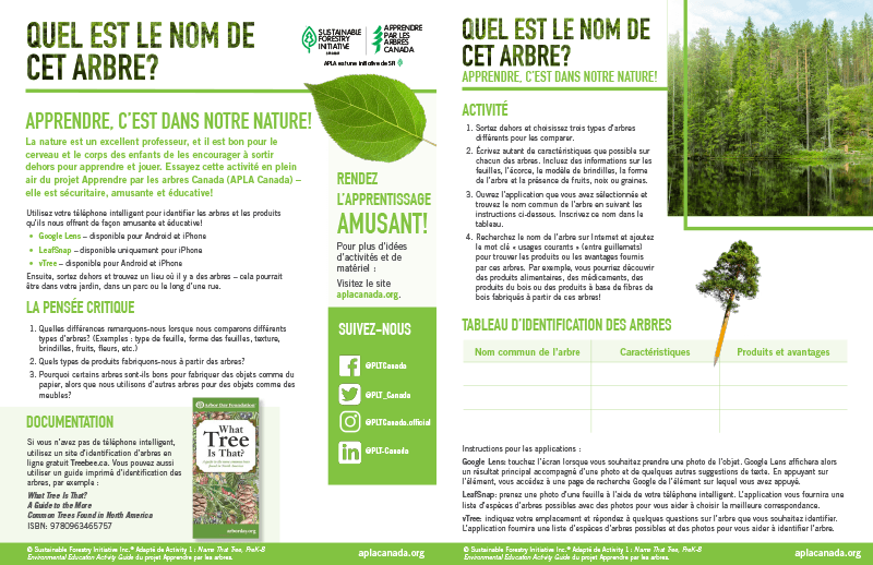 Prise d'écran de la fiche de travail