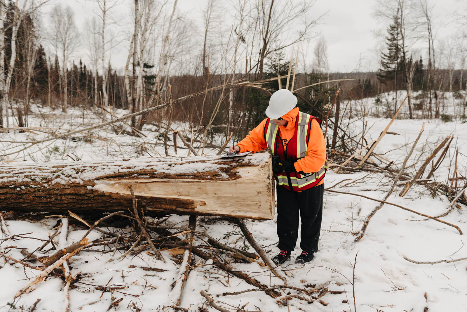 Michelle Botham Anishinaabe, Lac Seul First Nation Project Learning Tree Canada