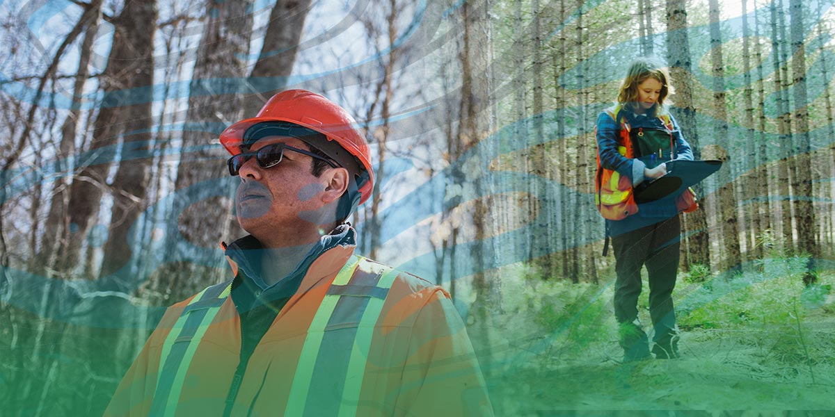 Man and woman (foresters) in high visibility vests in the forest.