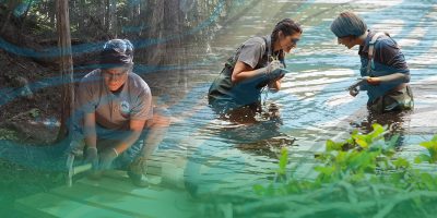 young man building a walkway in the forest, and two young woman taking notes while standing in a stream
