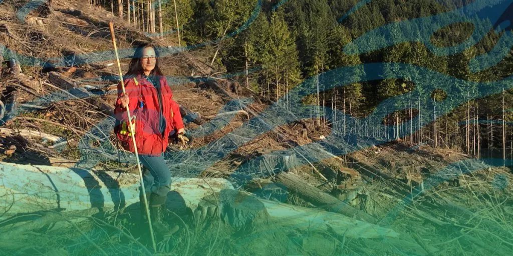 A silviculture technician in high visibility jacket stands in a clearing of harvested trees.