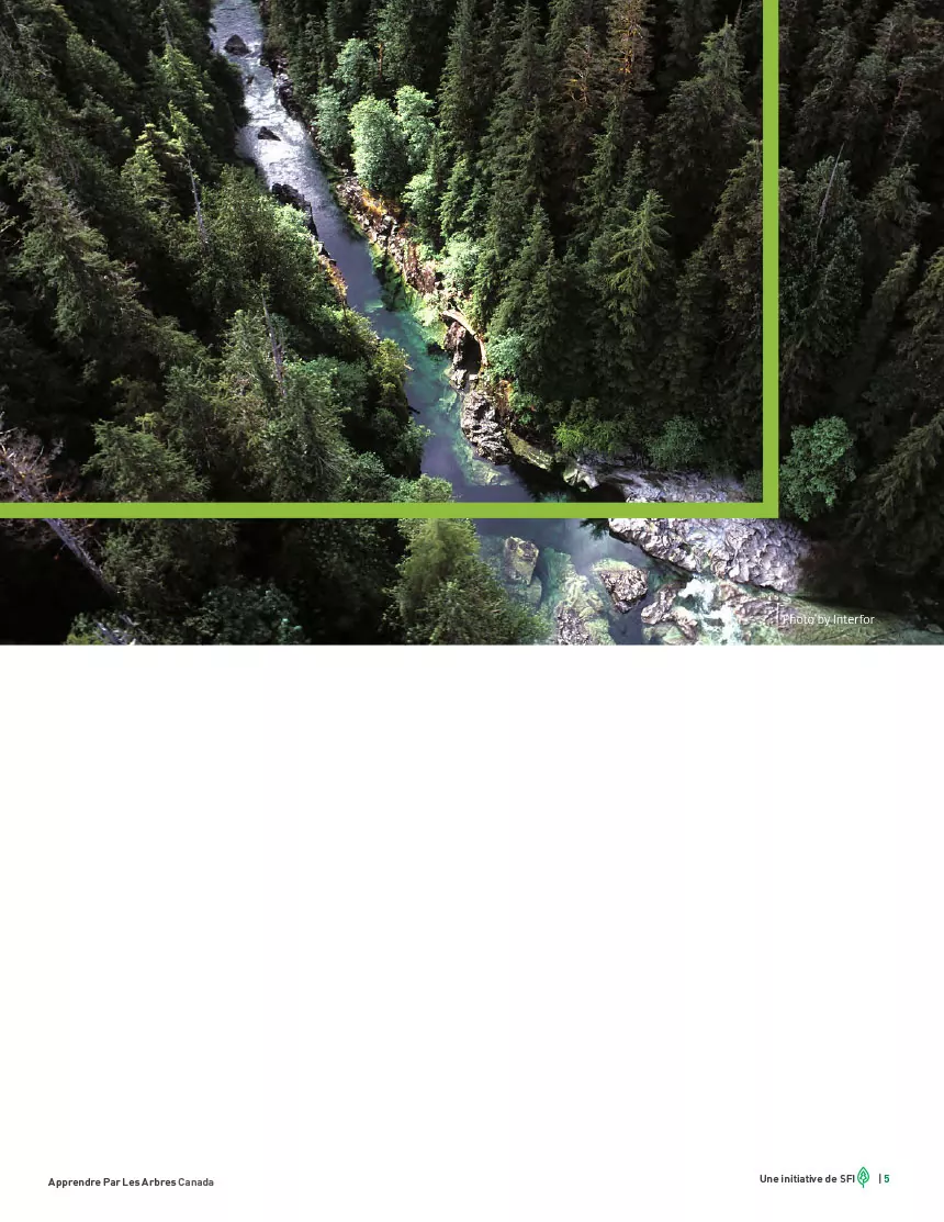 Emplois verts - page 5