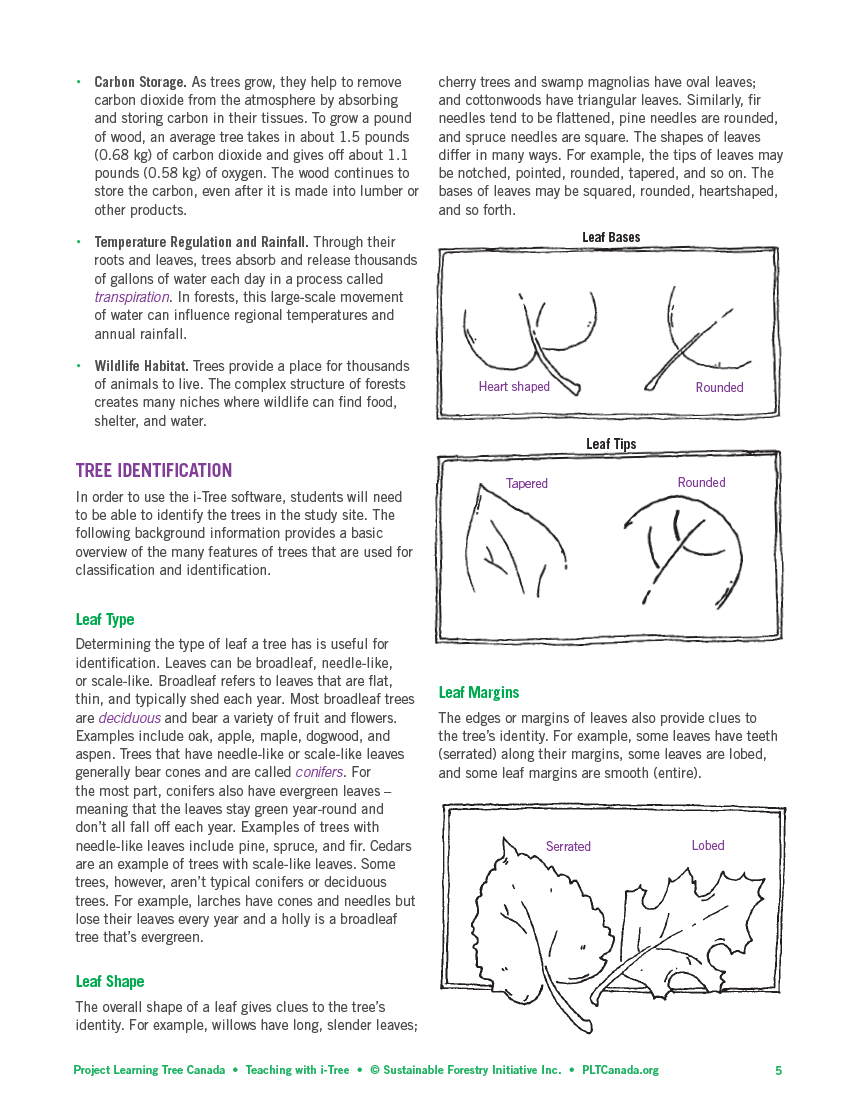 teaching with i-tree 5