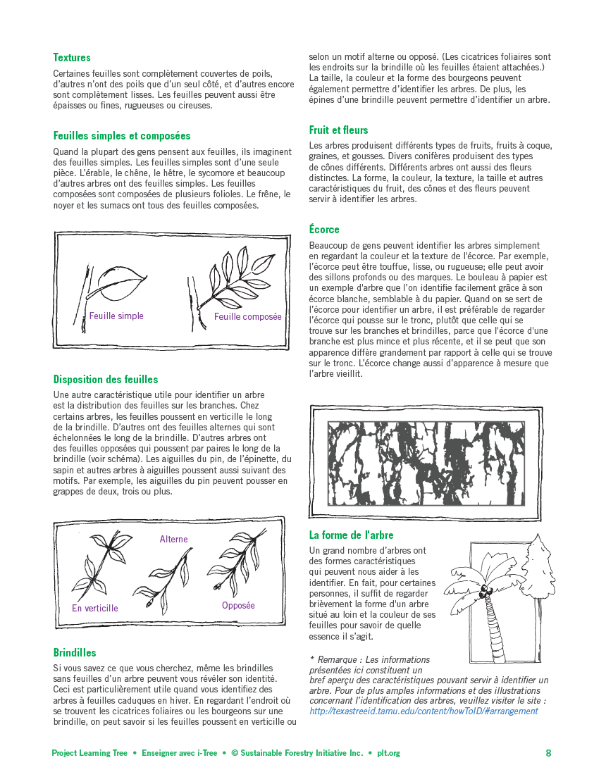 teaching with i-tree 6 FR