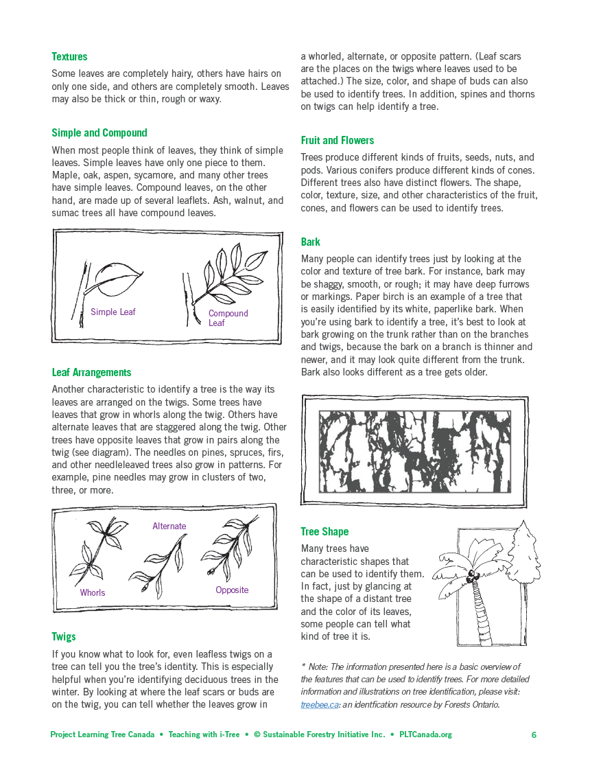 teaching with i-tree 6