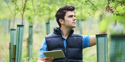 man holding tablet inspects young trees