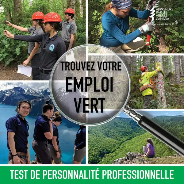 graphique test de personnalité