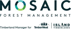 Mosaic Forest Management logo
