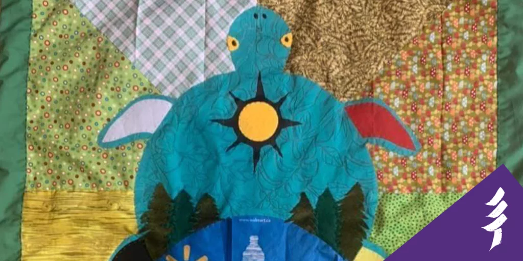 A blanket with a turtle design
