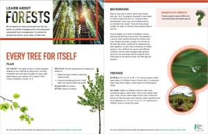 Screenshot of Every Tree for itself activities