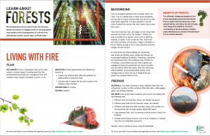 Screenshot of Living with fire activity