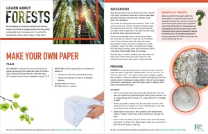 Screenshot of Make your own paper activity