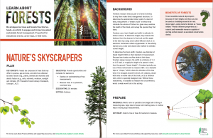 Screenshot of Nature's skyscrapers activity