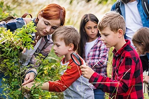 An educator shows children a part of a tree