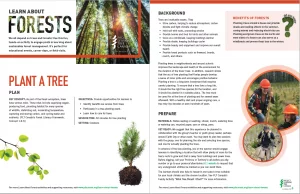 Screenshot of Plant a tree activity