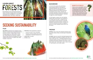 screenshot of Seeking sustainability activity