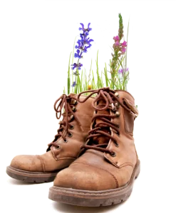 A pair of work boots with plants growing out of them