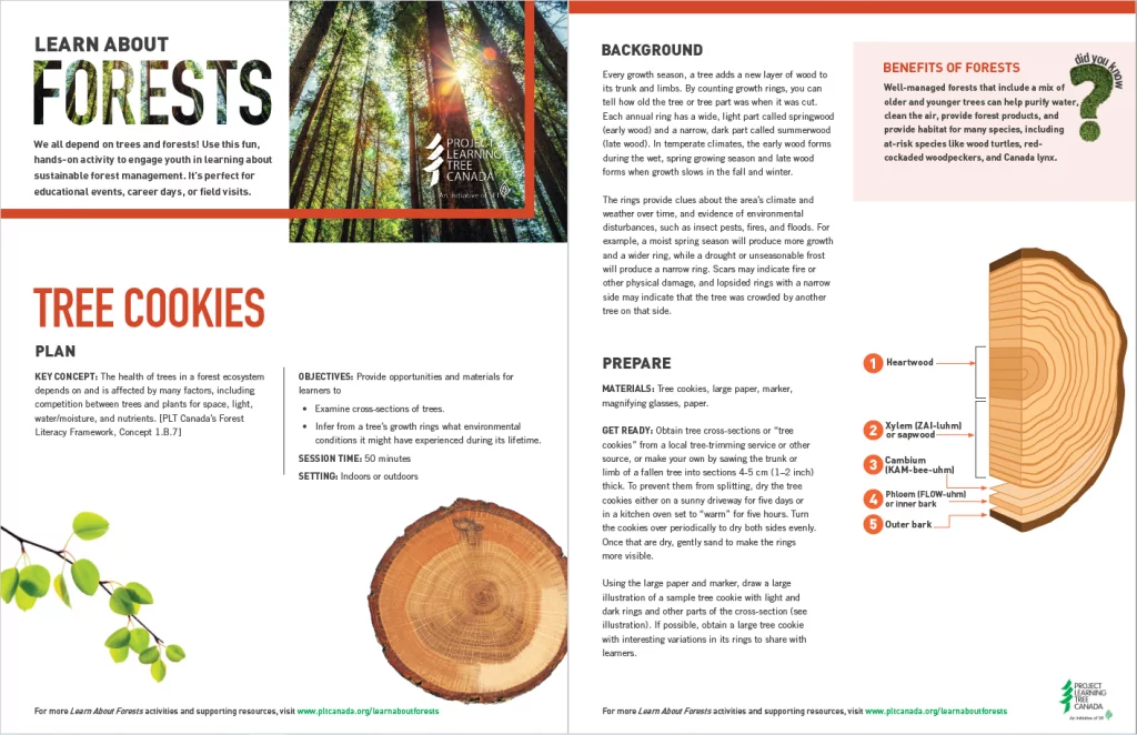 Screenshot of the Tree Cookie activity