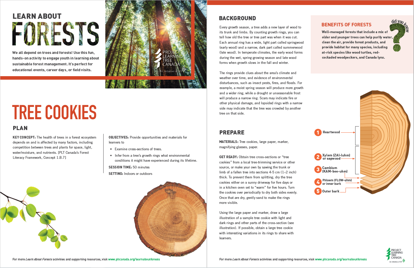 Learn about forests - Project Learning Tree Canada