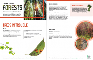 Screenshot of Trees in trouble activity