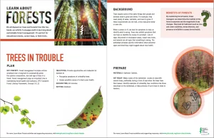 Screenshot of Trees in trouble activity