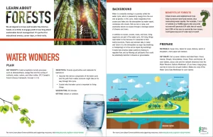 Screenshot of Water wonders activity