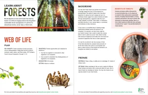 Screenshot of Web of life activity