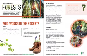 Screenshot of Who works in the forest? activity
