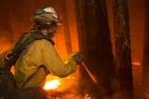 A person fighting a wildfire
