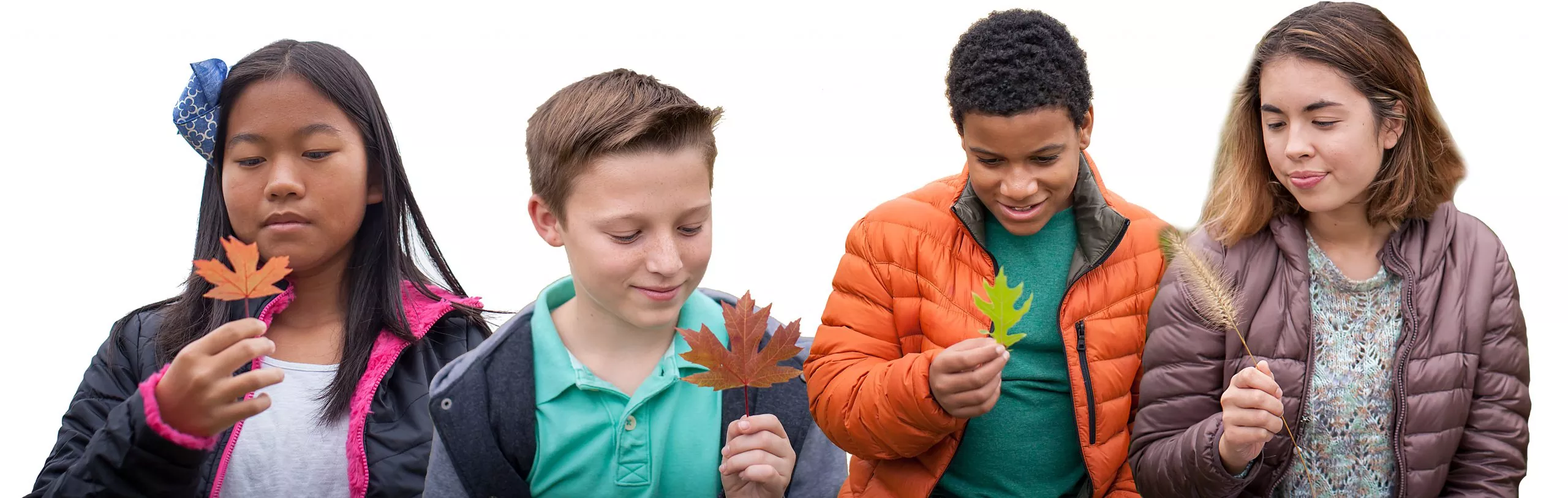 Four kids looking at leaves
