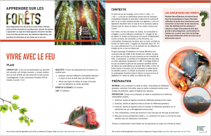 Screenshot of activity