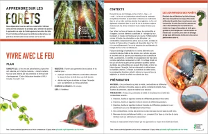 Screenshot of activity