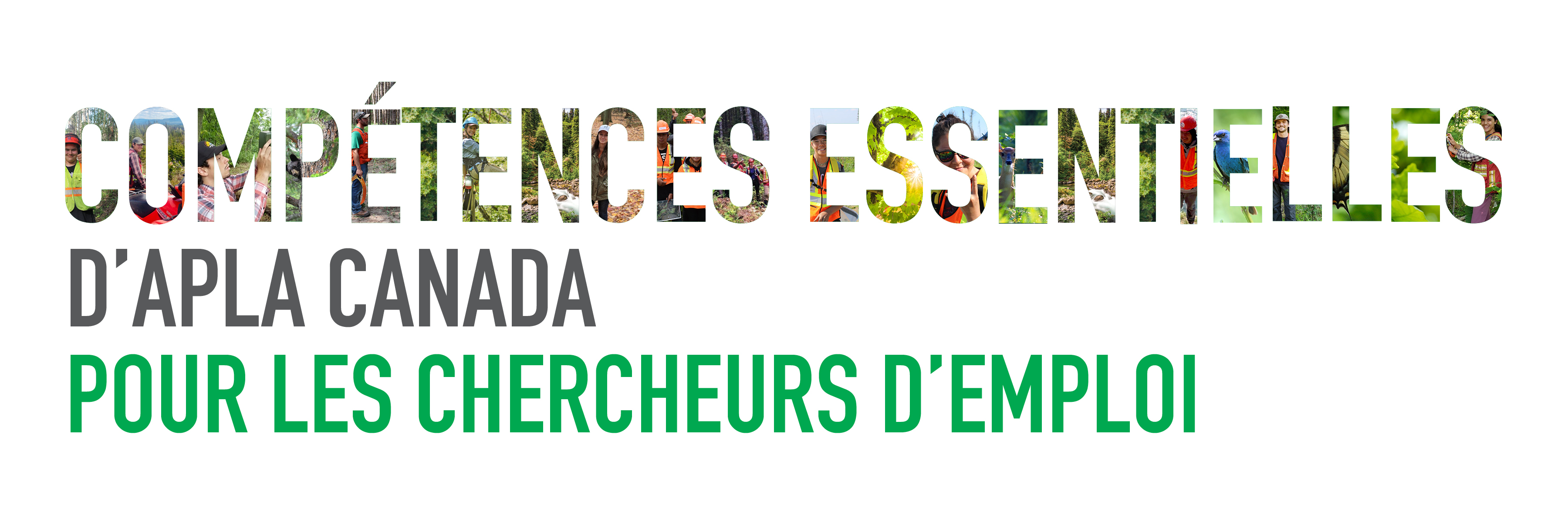 Logo pour Compétences essentielles d'APLA Canada pour les chercheurs d'emploi