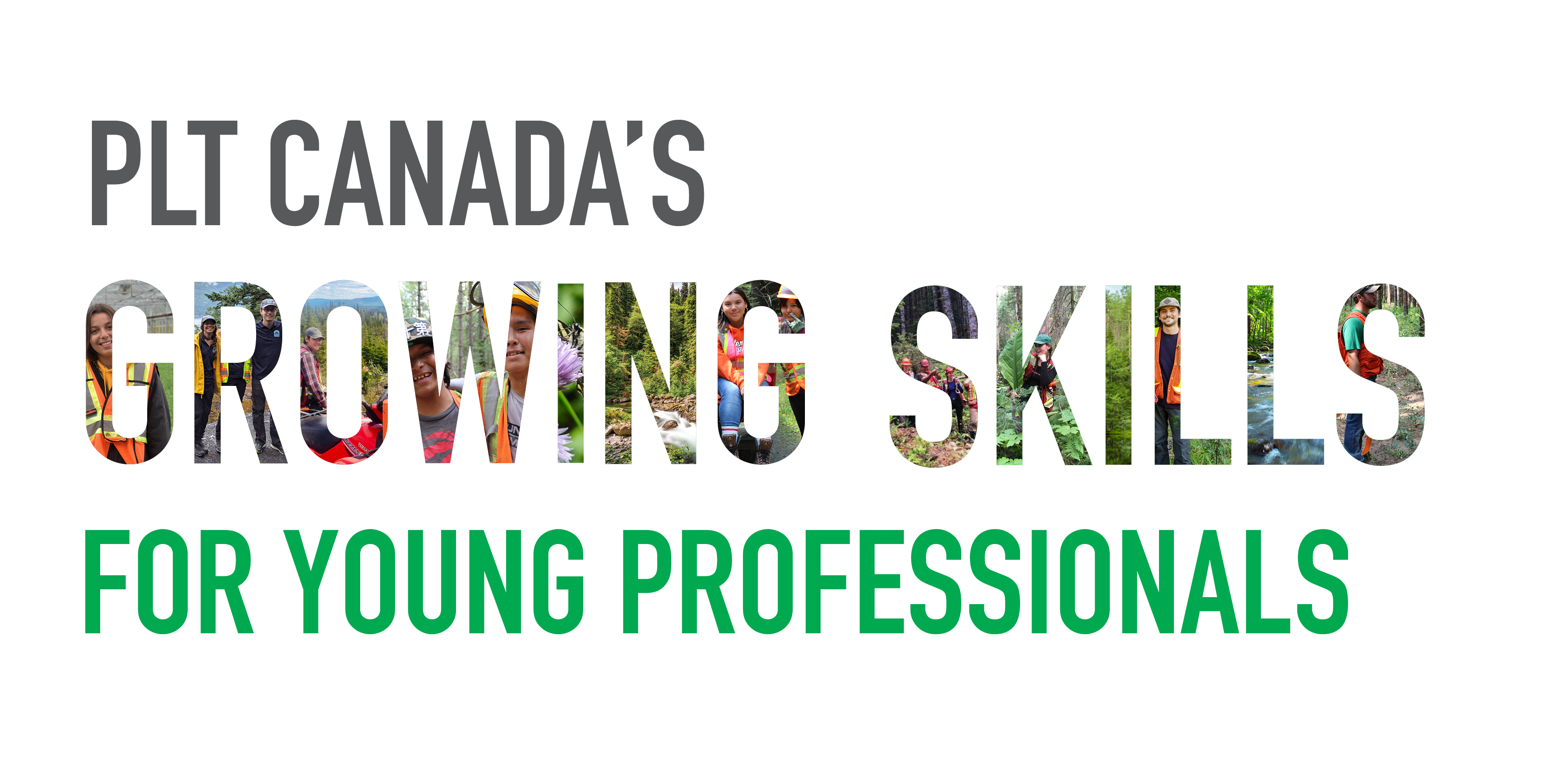 Growing skills for young professionals