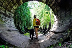 A young woman and her dog go through a wooden tunnel in a forest
